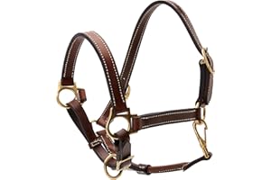 Cwell Equine New OILED LEATHER HEADCOLLAR Newmarket Brown Choice of sizes F/C/P (PONY)