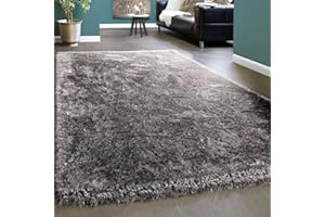 ‎PACO HOME Paco Home Edler Teppich Shaggy Hochflor Einfarbig Flauschig Glänzend In Grau Hellgrau, Grösse:120x170 cm