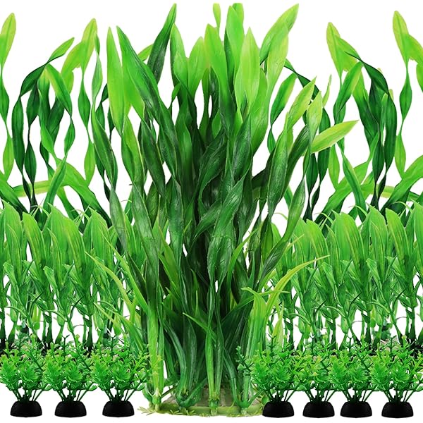 Semi Piante Acquatiche Per Acquario - Erba Verde Per Tappeto Decorativo, Busta Con Semi Per Acquario - Foto 9