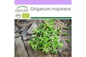 SAFLAX - Ecológico - Mejorana - 700 semillas - Origanum majorana