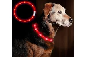 Anicoll LED Leuchthalsband Hunde Halsband USB wiederaufladbar - Längenverstellbarer Haustier Sicherheit Kragen für Hunde und Katzen- 4 Modus 12 Lichte