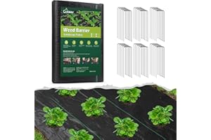 UIRWAY Tela de protección contra malezas para paisajismo, 25m² Resistente 100 g/m² con 30pcs Clavos, Tela de protección contra malezas paisajismo, para Jardines, Malas Hierbas, Agricultura, entradas