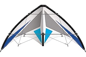 GÜNTHER FLUGSPIELE Paul Günther GmbH & Co. KG 1036 - Latawiec akrobacyjny Air Sport Flash 170 CX, zaawansowany kejs, żagiel z odpornego na rozdarcia poliestru ripstop, wytrzymała rama z włókna szklanego, ok. 170 x 82 cm duży