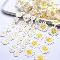 Ruban Dentelle Fleur Broderie - 3 Verges (2.5cm) - Applique à Coudre Pour Vêtements, Décorations