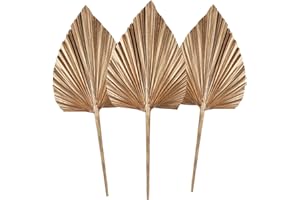 HILEYU 3Pcs Foglie di palma essiccate, lance di palma essiccate naturali, piccolo ventaglio di palma essiccata,pianta di lance di palma con stelo Boho casa, festa, matrimonio,torta, decorazione gold