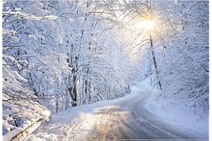 TTINCCEER Foresta Neve Sfondo 300x200cm Scena invernale di sole e neve Sfondo di fotografia di Natale 3D all'aperto con sentiero innevato per servizio fotografico Decorazioni per feste di Capodanno