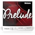D’Addario Prelude Violin Single String, Single E String, 1/2 Scale, Medium Tension - J811 1/2M - Solid Steel Core, Warm Tone, Economical and Durable – Educator’s Choice for Student Strings – 1 String