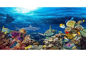 MIRRORANG 91x41cm Fondo de Acuario de Vinilo Duradero, Peces Tropicales de Coral, Mundo Submarino, póster de Tanque de Peces, telón de Fondo