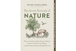 The Secret Network of Nature: Trees, Animals, and the Extraordinary Balance of All Living Things-- Stories from Science and Observation: 3 (The Mysteries of Nature)