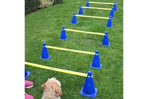 LionSports praktisches Steckhürdenset 2024 für Fußball, Hundesport, Pferdesport – Ideales Trainingszubehör, Fußballtraining, Pferd und Hunde - Profi Pylonen Set mit Hürden - Hindernisse Kegel