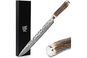 YOUSUNLONG Couteau Sashimi 10 pouces couteau à filet Damas Couteau Pro Yanagi japonais VG10 manche en bois naturel martelé