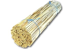 BeeCasa by Hiss Reet® Schilfrohrhalme Premium | Geschälter Bund | Insektenhotel & Bienenhotel Füllmaterial | Niströhren & Nisthülsen für Wildbienen