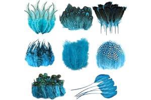 Molirex 160 Pièces Plumes Bleu de Faisan, Plumes Loisirs Creatifs Décoration pour Bricolage, Plume Naturelles Décoratives pour Attrape-Rêves, Boucles d'oreilles, Masques, Mariage, Fête, Pâques