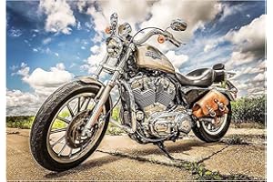 TAHEAT Paint by Numbers for Adults, DIY Acrylic Canvas Oil Painting Kit for Kids Beginner, 16 x 20 Inches Motorcycle Pattern with Brushes and Acrylic Pigment Without Frame