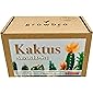 growbro Kaktus, Anzuchtset inkl. Sprühflasche, Geburtstagsgeschenk, Sukkulenten, Geschenke für Frauen & Männer…