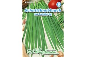 Schnittknoblauch mehrjährig N.L.Chrestensen Samen 433900-B