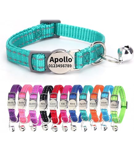 Beastie Bands Cat Collar - Stretchy Neoprene, Safe Breakaway, Fish & Bones Design (Color Varies)