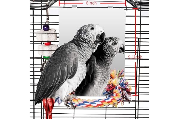 Colorday 23cm Miroir Oiseaux en Acier Inoxydable avec Corde Perch, Swing Jouets pour Les Oiseaux, Comfy Perch pour Grays amazones Perruche Conure Cockatiel inséparables (Grand)