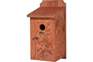 dobar® green label 22364FSCe skrzynka lęgowa "wróbel domowy" - skrzynka na wróblę drewniana - pomoc dla dzikich ptaków - odporna na warunki atmosferyczne - miejsce lęgowe z motywem sitodruku "wróbel