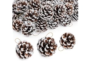 Homewit Szyszki jodłowe, 50 sztuk szyszek KIEfer z ogumieniem śnieżnym – 4-6 cm jodła sople naturalne, szyszki sosny czarnej, są piękne, okrągłe i gęste, do dekoracji bożonarodzeniowych, adwentowych