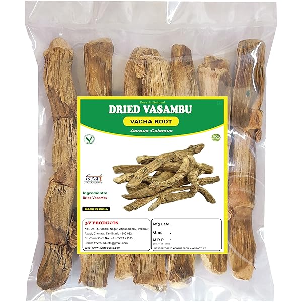 Kristina Asmus porno soxta videolar