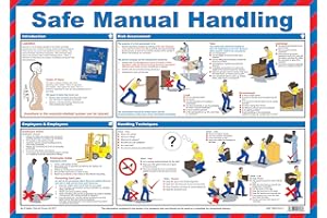 SAFETY FIRST AID GROUP Safety First Aid Laminated Poster - Safe Manual Use