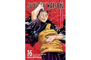 Jujutsu Kaisen (Vol. 16)