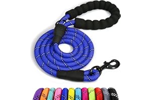 Taglory Correa de Perro, Correa de Fuerte de Perro para Perros Medianos y Grandes con Mango Acolchado Suave y Hilos Reflectantes, 1.2 m x 1.0 cm, Azul Oscuro