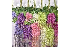 Benoon Semi Di Albero Di Glicine, 100 Pezzi/Borsa Semi Di Albero Di Glicine Decorativi Colori Misti Vivaci Semi Di Piante A Crescita Rapida Per Balcone Semi di glicine