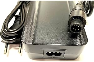 Enerpower Cargador de 42 V 2 A 85 W 5 pines redondo para baterías de 36 V para Fischer, Phylion, Devron, Lifebike, etc.