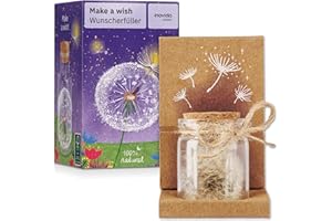 Inovida Pusteblume im Glas : Echte Pusteblume als Glücksbringer – Kleines Geschenk mit Grußkarte – Dankeschön Geschenk – Aufmunterung Geschenke – Dankeschön Geschenke Klein – Glücksbringer Prüfung