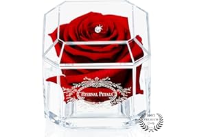 A 100% Real Rose That Lasts Years - Eternal Petals, Handmade in London - White Gold Solo with A Multicolor Crystal (Deep Red)