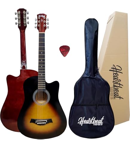 Gitane DG-310 Professional Gypsy Jazz Guitar - Modèle Lulo
