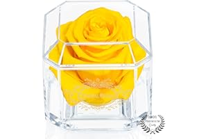 Eternal Petals Solo - A Real Rose That Lasts A Year - Perfect Unique Gift for Women, Men, Birthday Gift (Yellow)