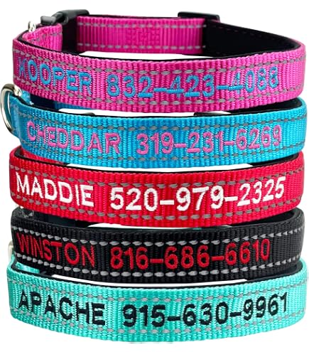Custom Personalized Dog Collars - Adjustable Pet Collar With Engraved Metal ID Tag For French Bulldog, Poodle, Labrador, And More