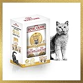 Royal Canin Adult Adult British Shorthair Cat Food 2 Kg + Royal Canin Adult British Shorhair Wet Food 2 Pieces (Orig