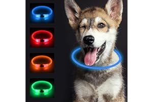 SONNIG Collare Luminoso per Cani, Collare Luminoso per Cani Ricaricabile e Regolabile con 3 Modalità di Illuminazione, Sicuro per Taglia Piccola, Media e Grande di Notte, Blu