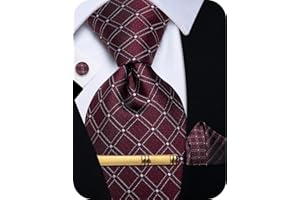 YourTies Silk Ties for Men Plaid Paisley Floral Necktie Pocket Square Cufflinks Tie Clip Set Wedding Party Business Formal