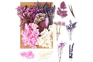 SOSPIRO Natürliche Getrocknete Blumen,Trockenblumen zum Basteln,Blumen Natürliche Gemischte,Getrocknete Blumen für Kunst Basteln DIY Harz Scrapbooking Handwerk Karten Machen