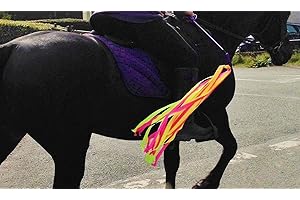 WIZ VIZ HORSE & RIDER SAFETY Hi Viz fluorescent streamer crop add-on. STAY SAFE PASS WIDE & SLOW. 7 COLOUR CHOICES !