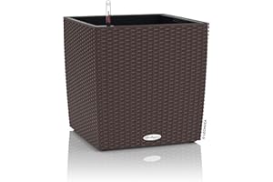 Lechuza Cube Cottage 50 Kit Complet, Plastique, Moka, 50 x 50 x 50 cm