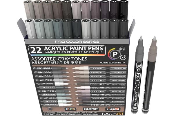 Lot de 22 stylos à peinture acrylique Pro Color Series assortis, pointe extra fine 0,7 mm pour peinture sur rocher, verre, tasses, bois, métal, toile (gris)