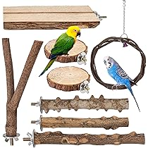 Set van 2 vogelkooizitstokken met zuignap - Natuurlijke houten zitstok voor kleine- tot middelgrote vogels, inclusief parkieten - Voor glazen tegels en glad niveau (25 cm