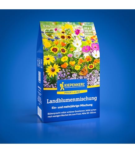 quedlinburger saatgut preisgruppen 5x Quedlinburger Saatgut (Schöngesicht Mischung hoher Sorten) — Ossiladen main image 1