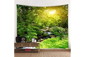 RAILONCH Tapiz de pared con impresión digital, tapiz, tela de microfibra suave, Throw Bedspread, Queen Bed Dorm Decor (B, 180 x 230 cm)