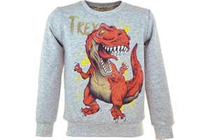 MARIELA KIDS Kinder Dino Pullover | Sweatshirt Jungen | Winterpullover Dinosaurier | T-Rex Print | Baumwolle | Langarmshirt | Warmer Kinderpullover