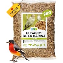 Gusanos De Harina Secos Koi-Herdecke – 1 Kg, Alimento Natural Rico En Proteínas (51%) Para Pájaros, Reptiles, Roedores Y Peces