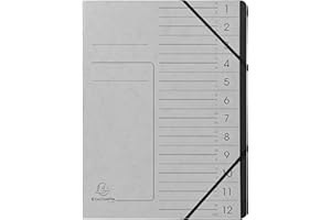 ‎EXACOMPTA Exacompta 541211E Premium Ordnungsmappe geheftet. Aus extra starkem Colorspan-Karton DIN A4 12 schwarze Fächer und 2 Gummizüge mit Organisationsdruck Ringmappe Register-Mappe grau