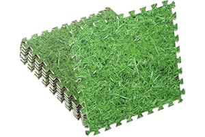 Takezuaa Foam Exercise Mats,60cm x 60cm Large Gym Flooring Mat,Interlocking Puzzle EVA Floor Tiles,Non-Slip Soft Cushion Floor Protector Home Workout Mat,Fitness Training Equipment