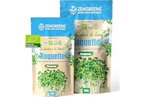 ZenGreens® - Graines de roquette bio - Choisissez entre 10g, 200g et 500g - Graines de roquette avec un taux de germination supérieur à 97% - Microgreens